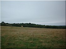  : Pasture land by Dave Smethurst