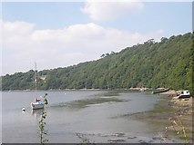 SX4265 : Hooe Woods and the River Tamar by Tony Atkin
