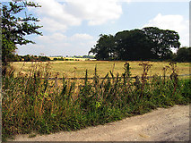 SU4674 : Farmland near Hazelhanger Farm by Pam Brophy