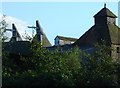 Oast houses at Springhill Farm