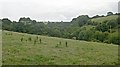 Valley at Down Wood