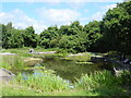 Ducky Pond, Halewood Triangle Country Park