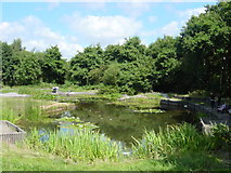 SJ4485 : Ducky Pond, Halewood Triangle Country Park by Sue Adair