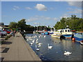 Swans and pleasurecraft at Spike Island, Widnes