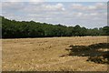 Harvested Field