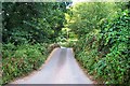 Bridge near Harberton - South Hams