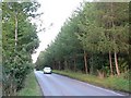 Road through Scone Wood