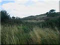 Below Stoneyhall Hill