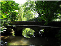 The Roman Bridge: Castle Coombe