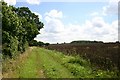 Footpath to Hargrave Hall