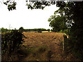 Ploughed Field near Littleton Drew