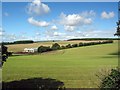 Pitt Down looking W from Enmill Lane