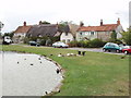 Duckpond by the church in Haddenham