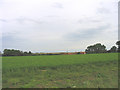 Red House Farm, near Sudbourne, Suffolk