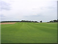 TM4353 : "The Perfect Lawn" - near Sudbourne, Suffolk by John Winfield