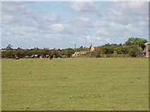 SP7609 : Hewdon Farm, near Haddenham by David Hawgood