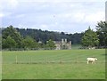 TQ8252 : Leeds Castle from Burberry Lane by John Brown