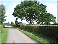 The lane near Little Farm