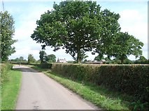 SO6252 : The lane near Little Farm by Andrew Longton
