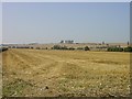 Harvest home near Eastchurch