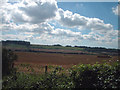 Farmland south west of Oliver