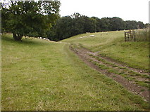 SE6087 : Dry Valley Leading into Ash Dale by Mick Garratt