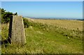 TQ5403 : Wilmington Hill Trig Point by Janine Forbes