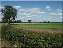 TM1199 : Fields, Wymondham by Katy Walters