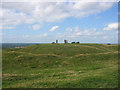 N9159 : Hill of Tara, County Meath by Patrick Brown