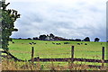 Fowler Fold from Horden Rake, Livesey, Blackburn