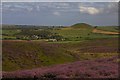 NZ6812 : Freebrough Hill by Colin Grice