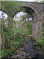 NY6851 : Disused Railway Viaduct, Lintley by Dave Dunford