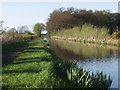 Montgomery Canal just north of Rednal