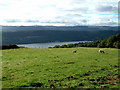 Foyers aluminium smelting works - Loch Ness