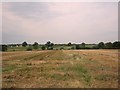 Fields near Pershore Hall