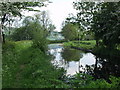 Montgomery Canal near Pool Quay