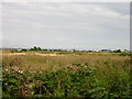 View from Mash Barn Lane