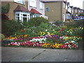 Colourful garden, Aultone Way, Sutton.