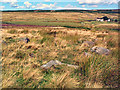 Bradup Stone Circle