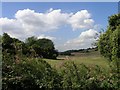 Farmland, not far from Chaldon