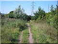 Howardian Nature Reserve, Cardiff.