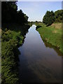 The River Witham at Aubourn