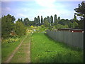 Entrance to Demesne Road Allotments, Wallington.