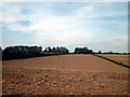 Farmland, Abbott