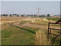 Farm track and poles