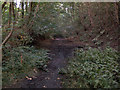 Former Ilkley-Otley railway line