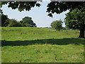 Pipewell, near Corby, Northamptonshire