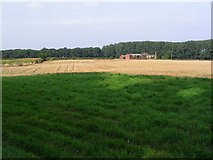 SJ6885 : Farmland by Dave Smethurst