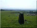 Trig point next to East Muirhouses