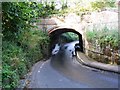 Bridgewater canal Bridge